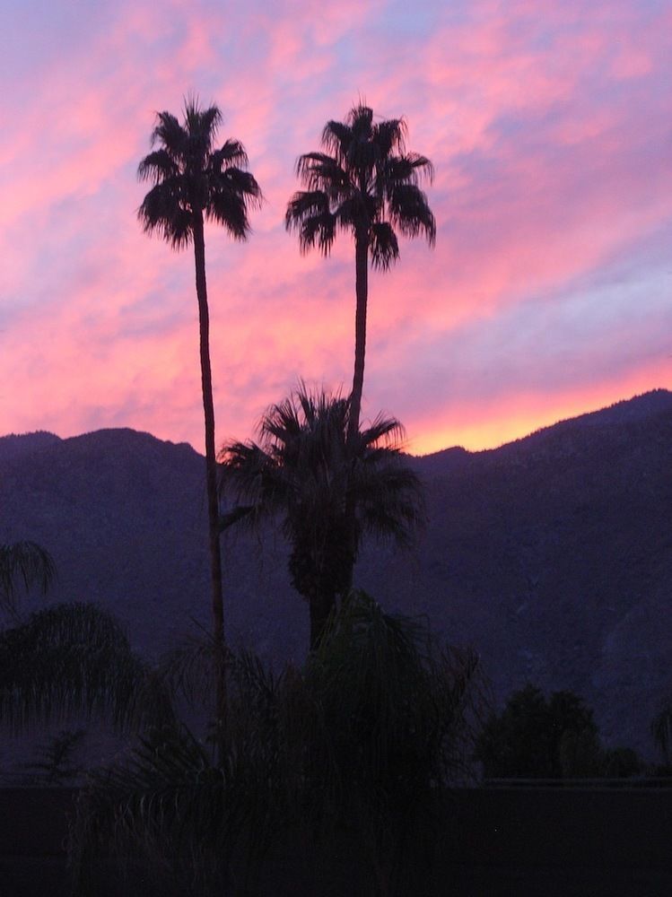 Avance Hotel Palm Springs Exterior foto